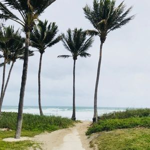 Meet your Posher, Trina